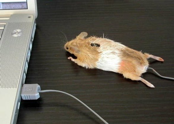 Mouse ไร้สาย vs มีสายจะเลือกอะไรดี ??
