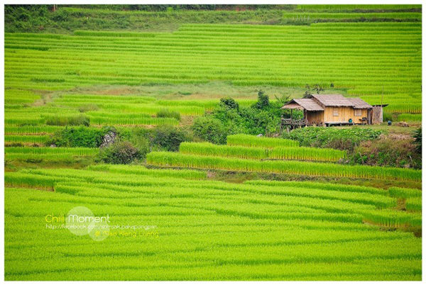ที่เที่ยวเชียงใหม่ ที่เที่ยวเชียงใหม่