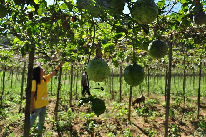 16523509_758530014287691_1091712995_o.jp