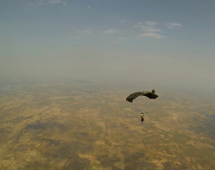 bird(2)