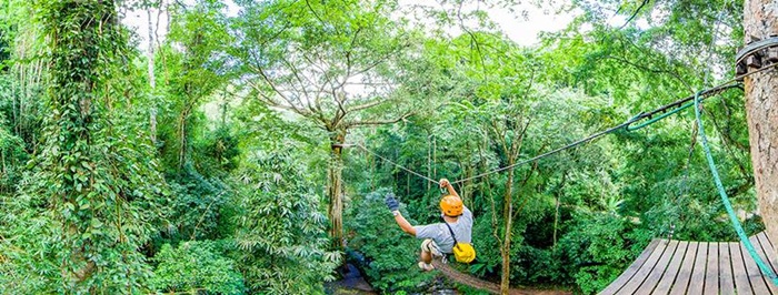 gibbon(2)