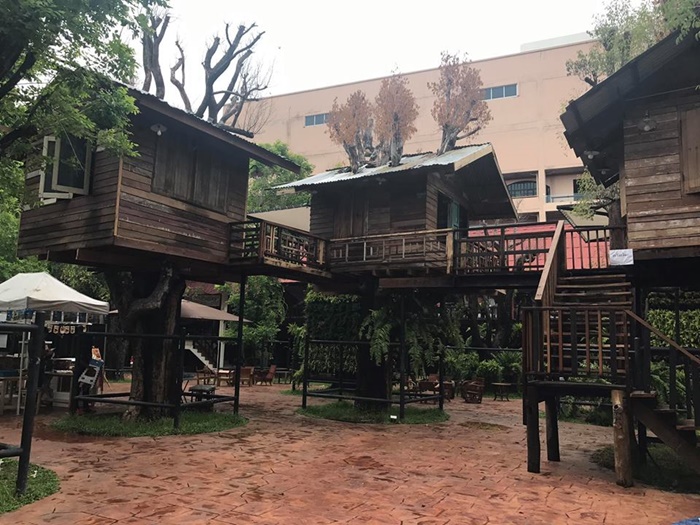 17626585_1254755971246366_110